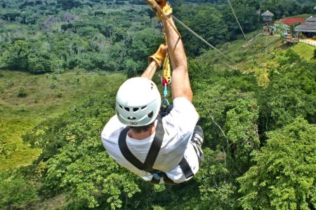 Monkey Jungle Zip Lining
